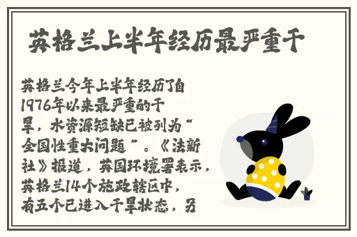 天天爱去网